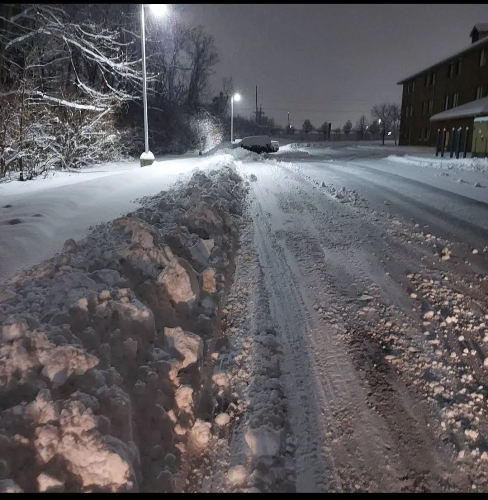 Local garden landscaping for year-round maintenance in Burlington, KY by Wolfe's landscape construction