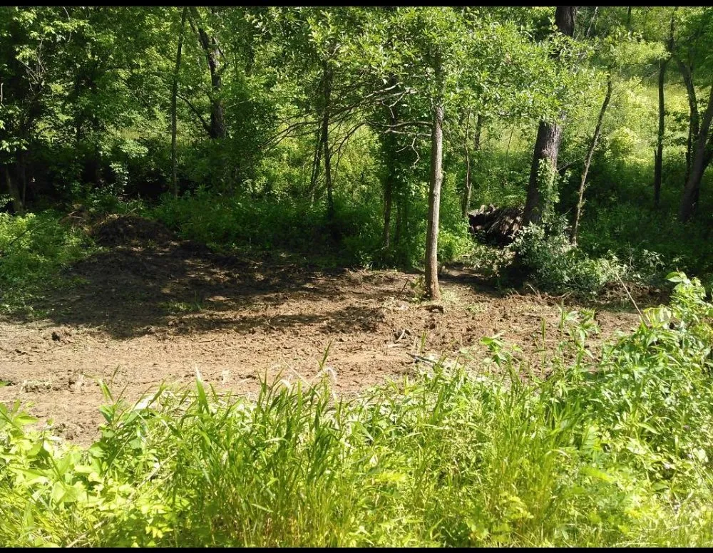 Local landscaping services for homes in Burlington, KY by Wolfe's landscape construction