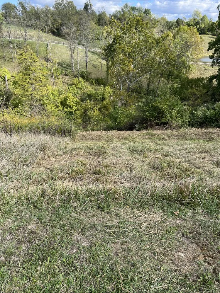 Local yard maintenance in Burlington, KY by Wolfe's landscape construction