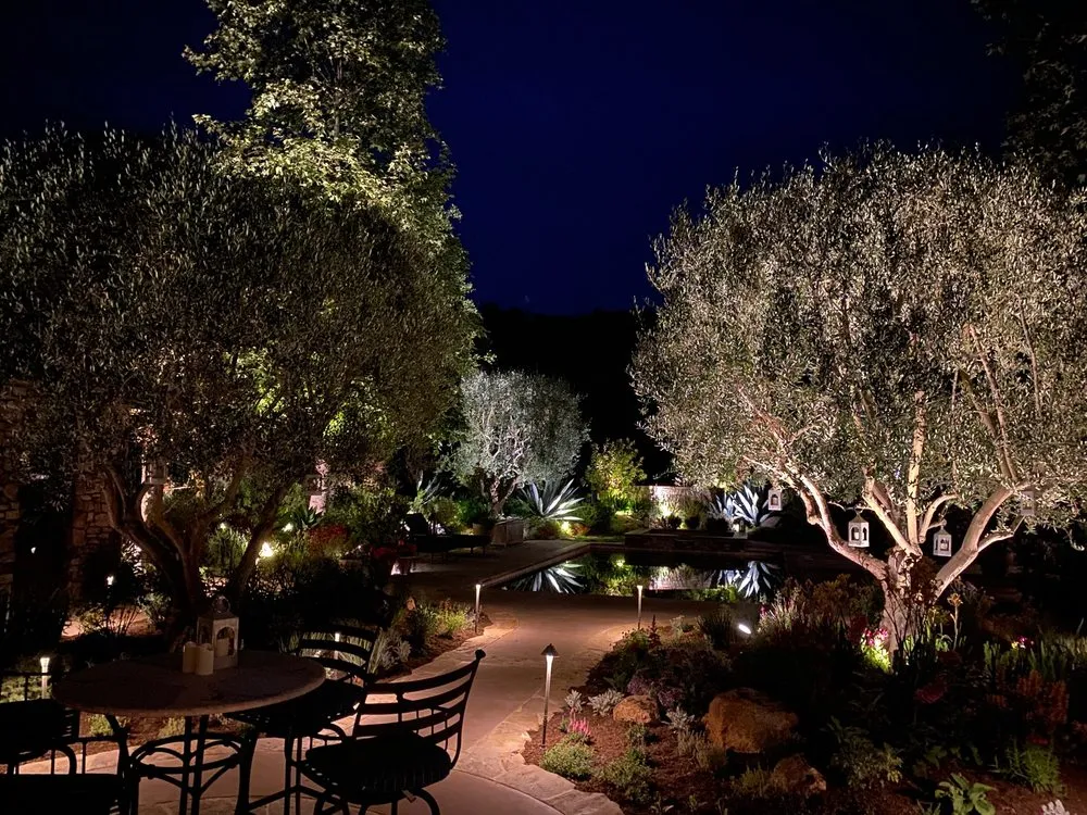 Local landscape design for year-round maintenance across Villa Park, CA - Wolff Horticultural