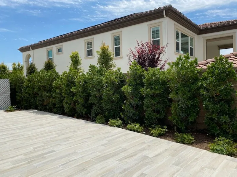 Local residential landscaping for residential properties in Villa Park, CA by Wolff Horticultural