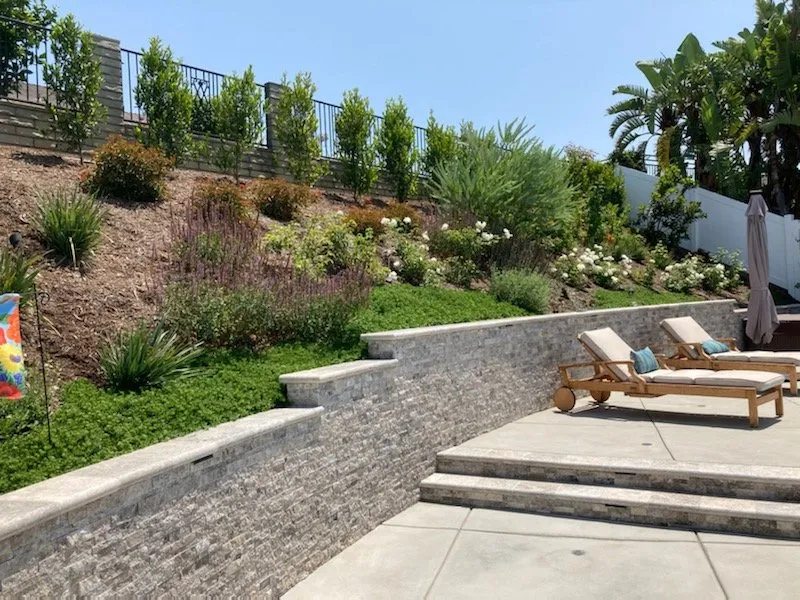 Local landscape installation with custom design across Villa Park, CA - Wolff Horticultural