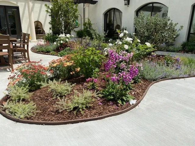 Local yard cleanup service for homes in Villa Park, CA by Wolff Horticultural