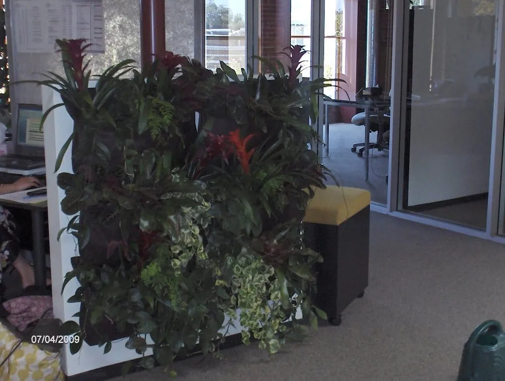 Trusted landscape installation in Villa Park, CA by Wolff Horticultural