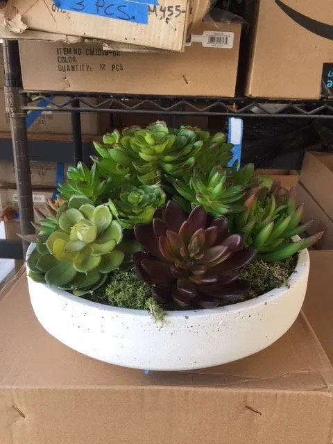 Top-rated yard cleanup service in Villa Park, CA by Wolff Horticultural