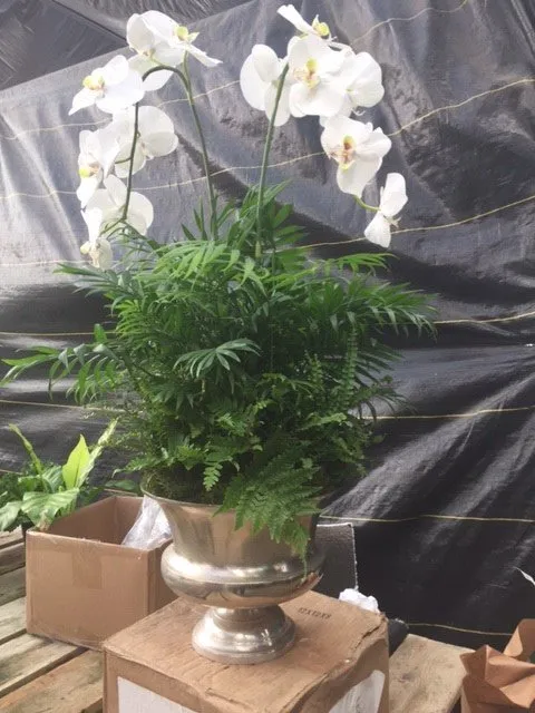 Affordable landscape installation experts serving Villa Park, CA - Wolff Horticultural