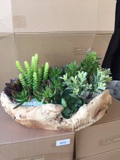 Custom residential landscaping in Villa Park, CA - Wolff Horticultural