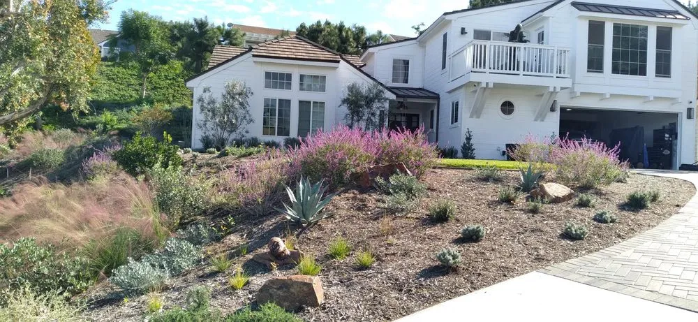 Professional yard cleanup service for beautiful yards in Villa Park, CA by Wolff Horticultural