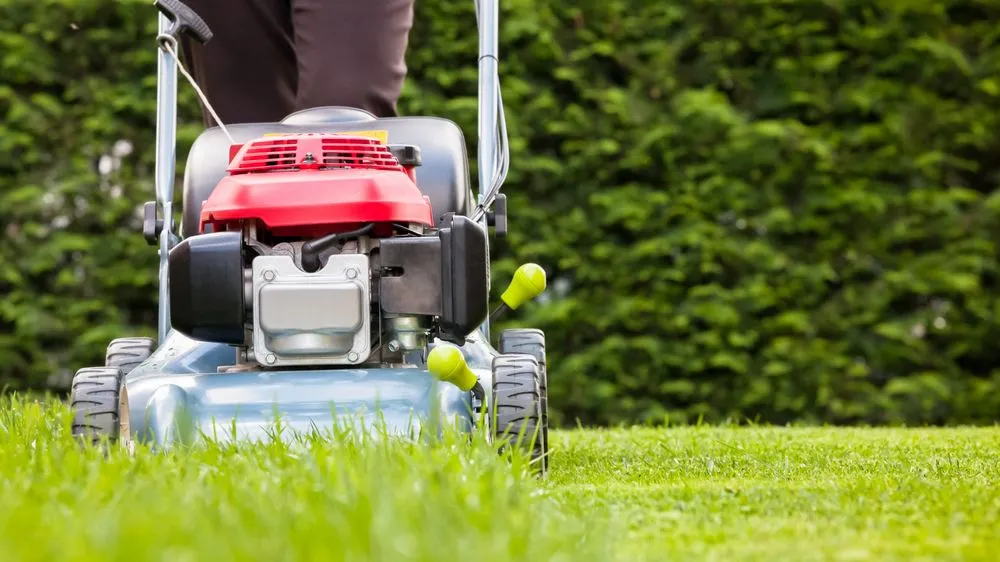 Top-rated yard cleanup service experts serving Green Bay, WI - Wolfgram Enterprises