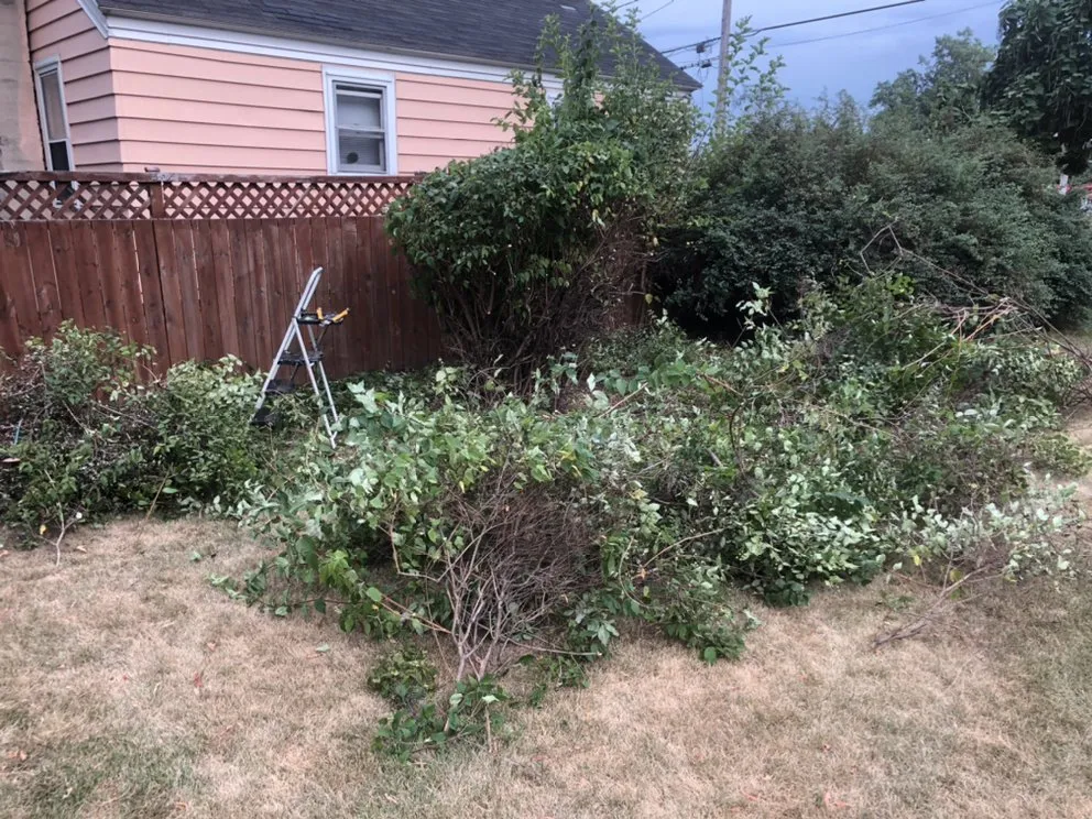 Reliable landscape design near you in Green Bay, WI by Wolfgram Enterprises