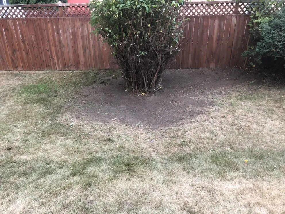 Top-rated landscape installation experts serving Green Bay, WI - Wolfgram Enterprises