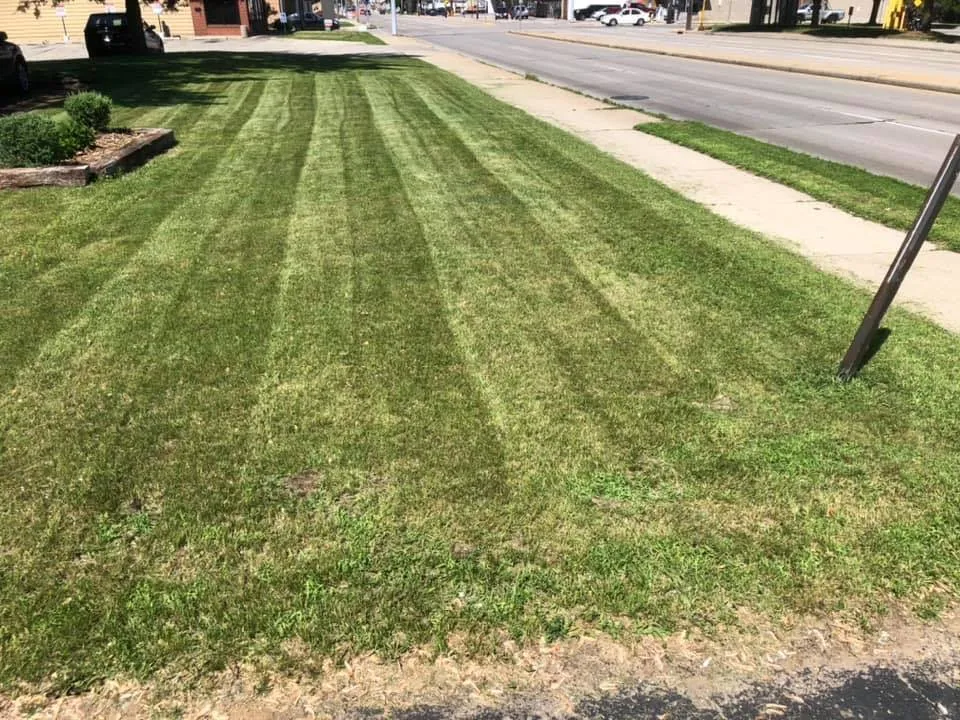 Expert landscape design in Green Bay, WI - Wolfgram Enterprises