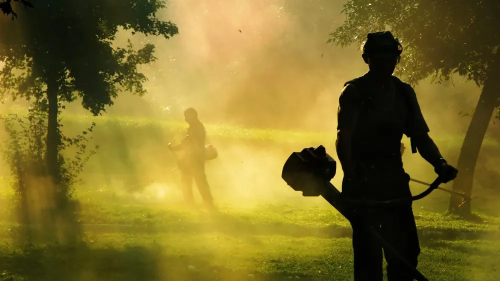 Professional yard maintenance experts serving Green Bay, WI - Wolfgram Enterprises