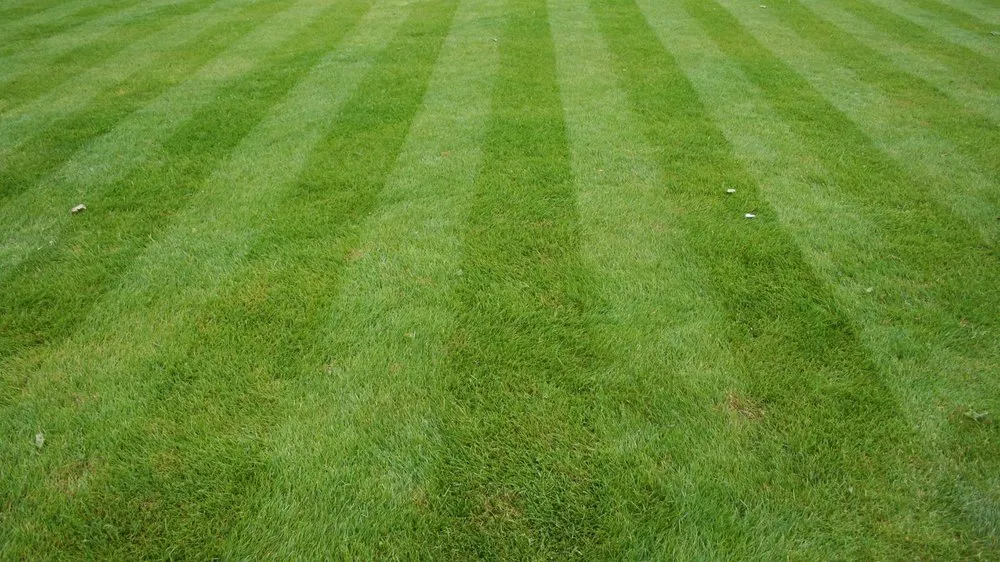 Reliable lawn care service for residential properties across Green Bay, WI - Wolfgram Enterprises