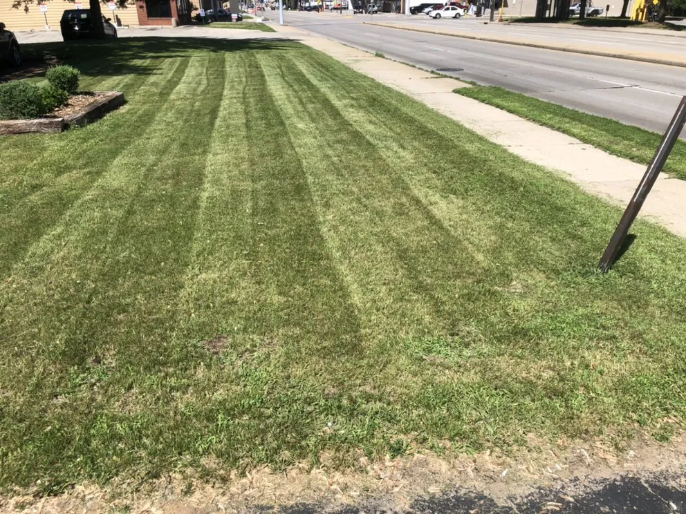 Top-rated yard cleanup service experts serving Green Bay, WI - Wolfgram Enterprises