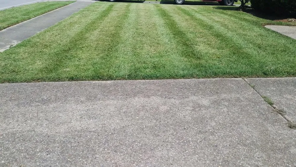 Affordable lawn mowing service for beautiful yards in Louisville, KY by Wolfie’s Lawn Care