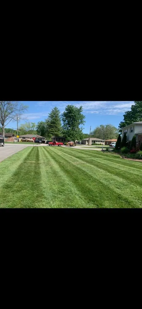 Professional yard cleanup service experts serving Louisville, KY - Wolfie’s Lawn Care