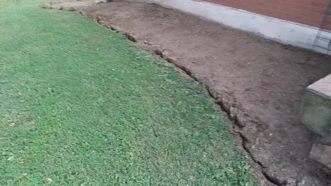 Local lawn care service in Louisville, KY - Wolfie’s Lawn Care