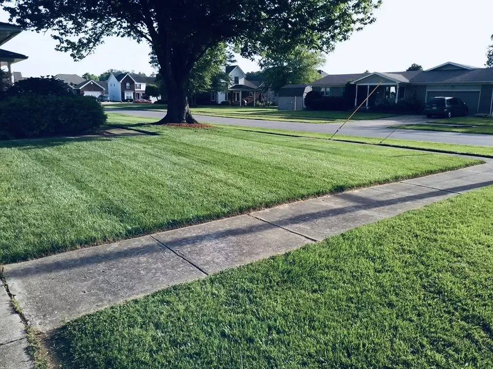 Top-rated yard maintenance for beautiful yards across Louisville, KY - Wolfie’s Lawn Care