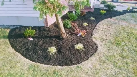 Reliable outdoor landscaping experts serving Louisville, KY - Wolfie’s Lawn Care