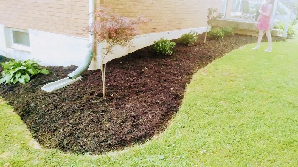 Affordable lawn care service in Louisville, KY by Wolfie’s Lawn Care