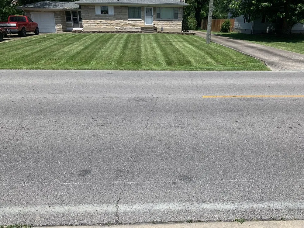 Trusted yard cleanup service in Louisville, KY - Wolfie’s Lawn Care