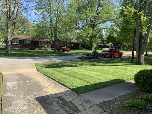 Wolfie’s Lawn Care Logo