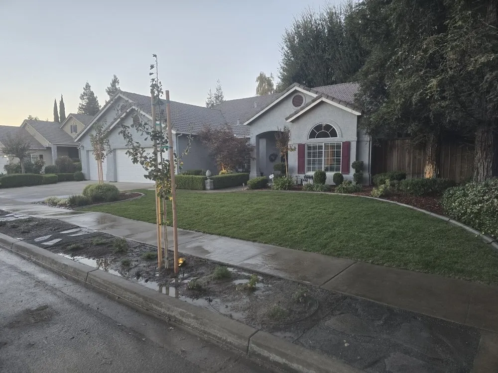 Professional yard cleanup service experts serving Modesto, CA - WolfPack EarthCare & Irrigation