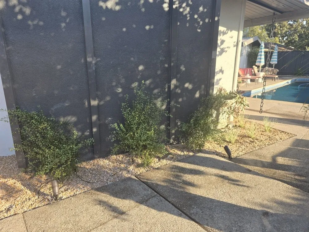 Affordable lawn care service experts serving Modesto, CA - WolfPack EarthCare & Irrigation