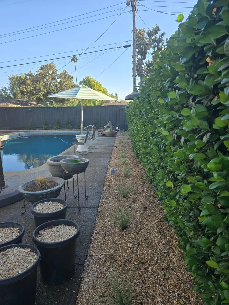 Custom lawn mowing service in Modesto, CA - WolfPack EarthCare & Irrigation