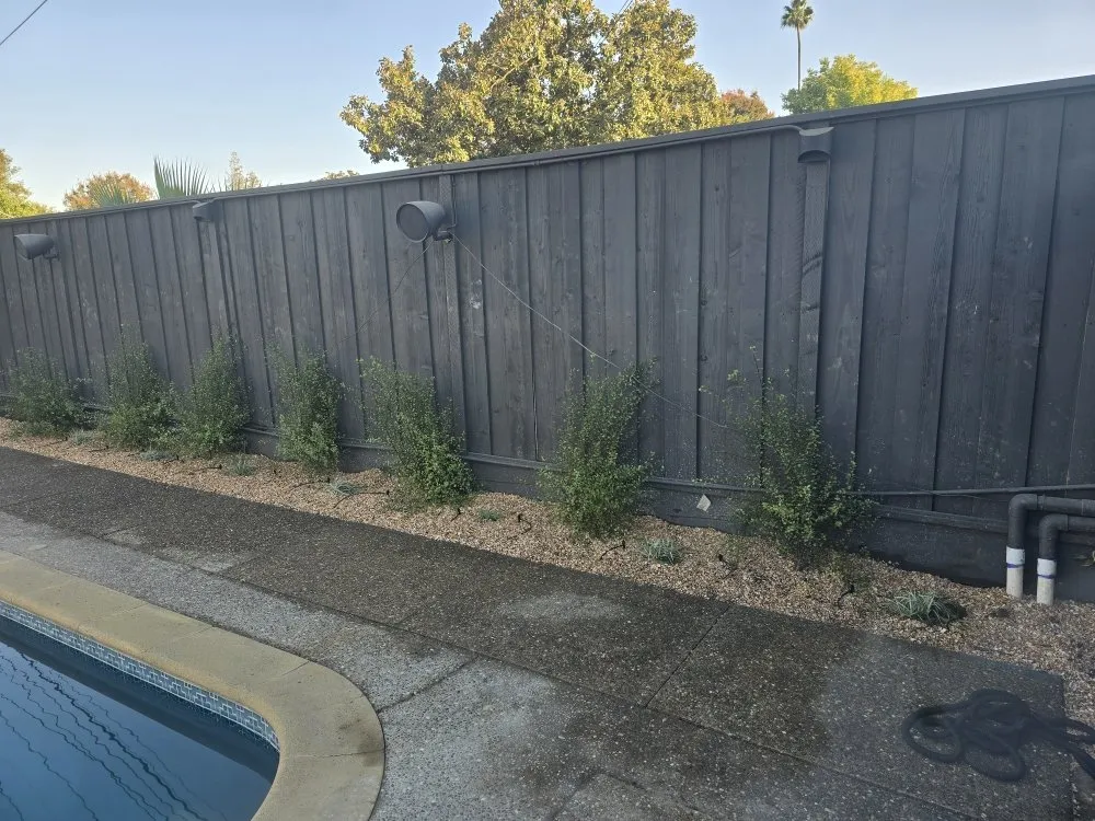 Affordable lawn care service near you across Modesto, CA - WolfPack EarthCare & Irrigation