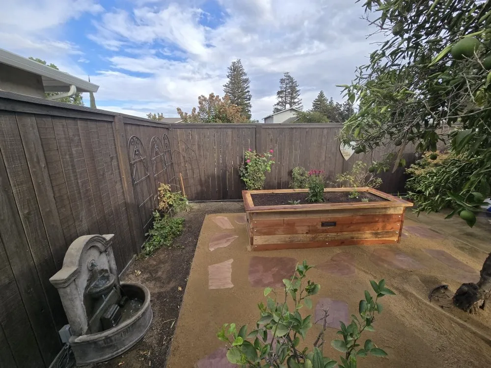 Trusted landscaping services for year-round maintenance in Modesto, CA by WolfPack EarthCare & Irrigation