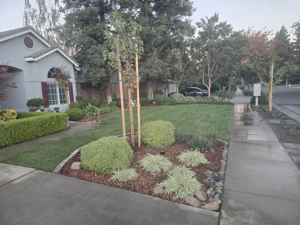 Custom landscape installation near you in Modesto, CA by WolfPack EarthCare & Irrigation