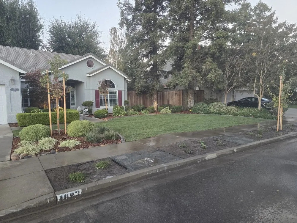 Trusted residential landscaping with custom design across Modesto, CA - WolfPack EarthCare & Irrigation