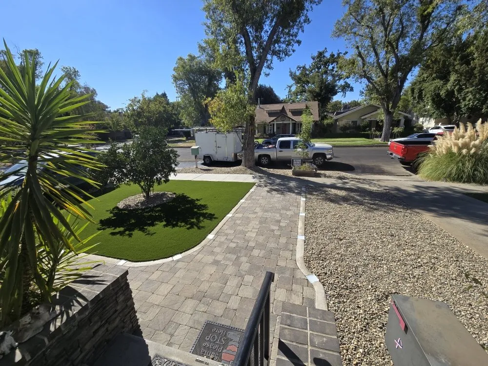 Custom yard cleanup service for year-round maintenance in Modesto, CA by WolfPack EarthCare & Irrigation
