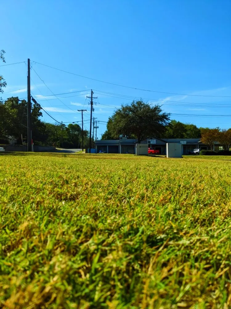 Top-rated yard maintenance in Crowley, TX by Wolfpack Home Services