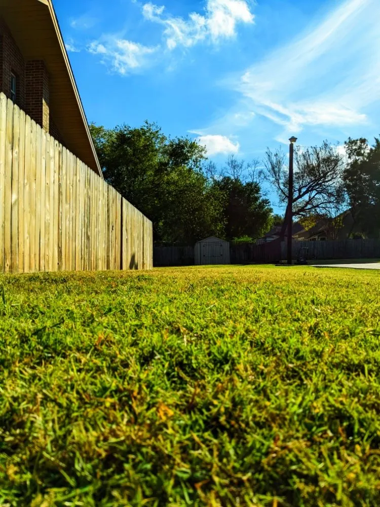Custom garden landscaping in Crowley, TX by Wolfpack Home Services