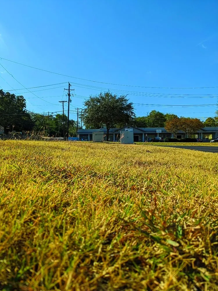 Local lawn care service near you across Crowley, TX - Wolfpack Home Services