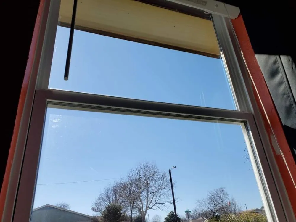 Local yard cleanup service in Crowley, TX by Wolfpack Home Services