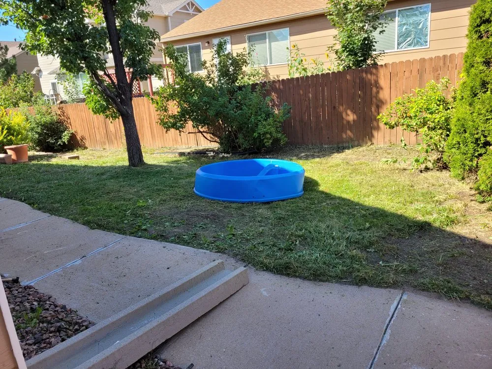 Professional landscape design experts serving Colorado Springs, CO - Wolfpack Landscaping