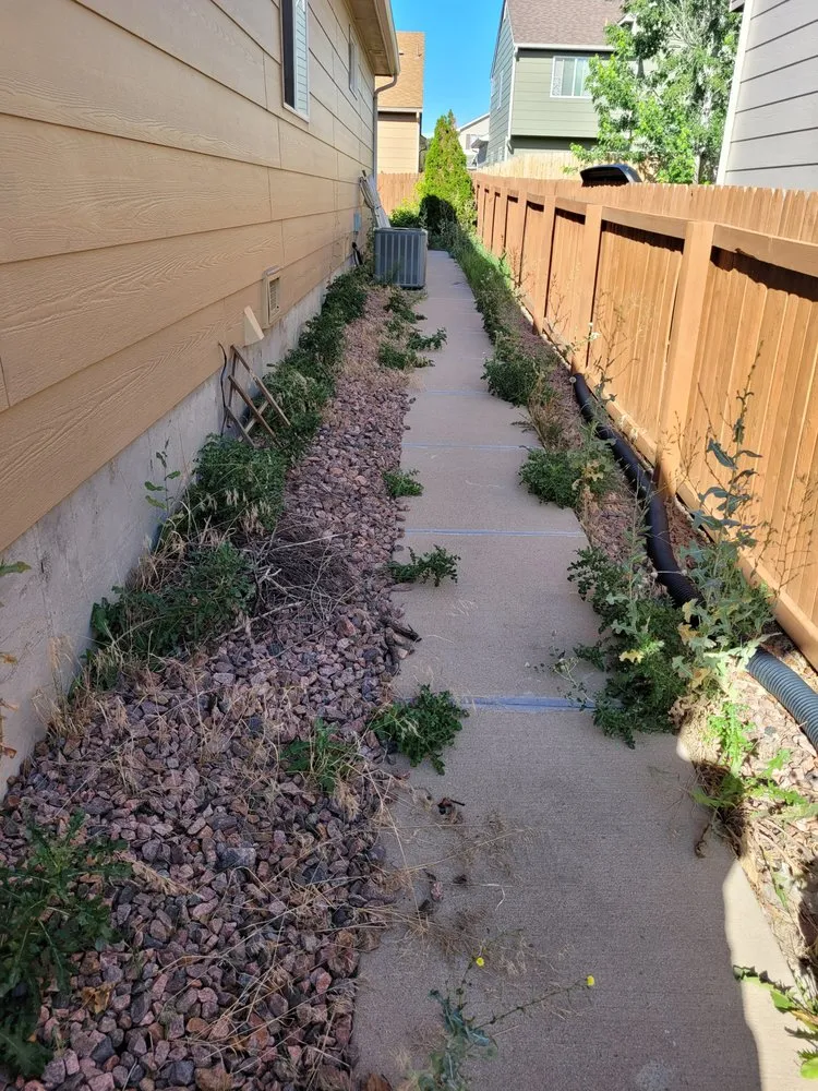 Reliable yard maintenance experts serving Colorado Springs, CO - Wolfpack Landscaping