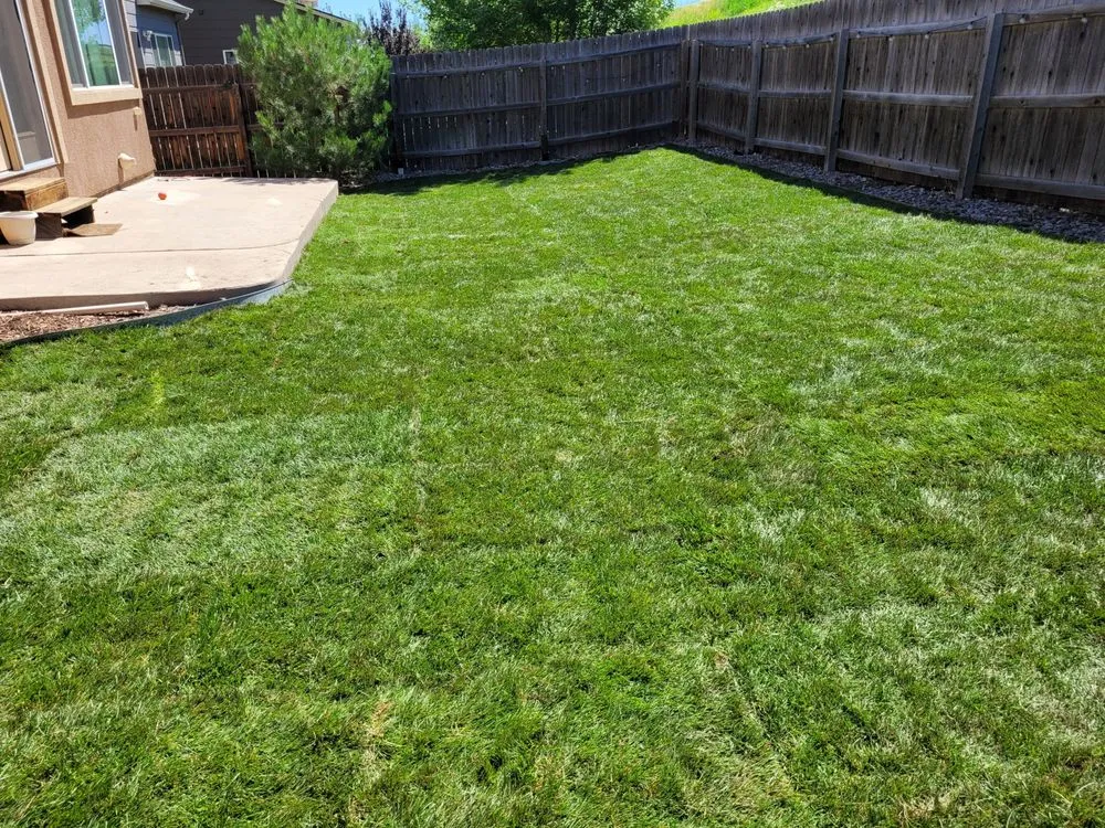 Trusted residential landscaping for beautiful yards in Colorado Springs, CO by Wolfpack Landscaping