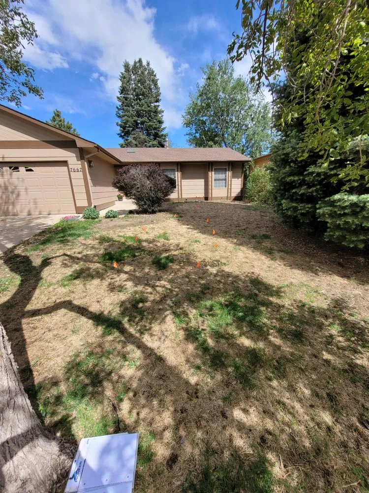 Affordable yard cleanup service with custom design across Colorado Springs, CO - Wolfpack Landscaping