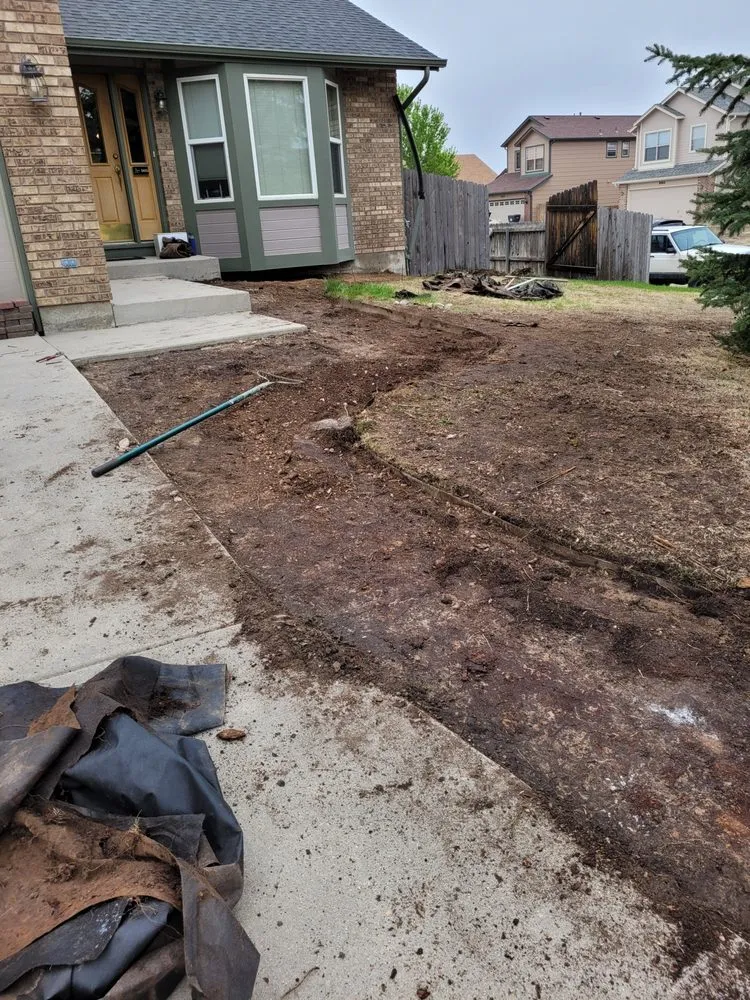 Affordable lawn care service for residential properties across Colorado Springs, CO - Wolfpack Landscaping