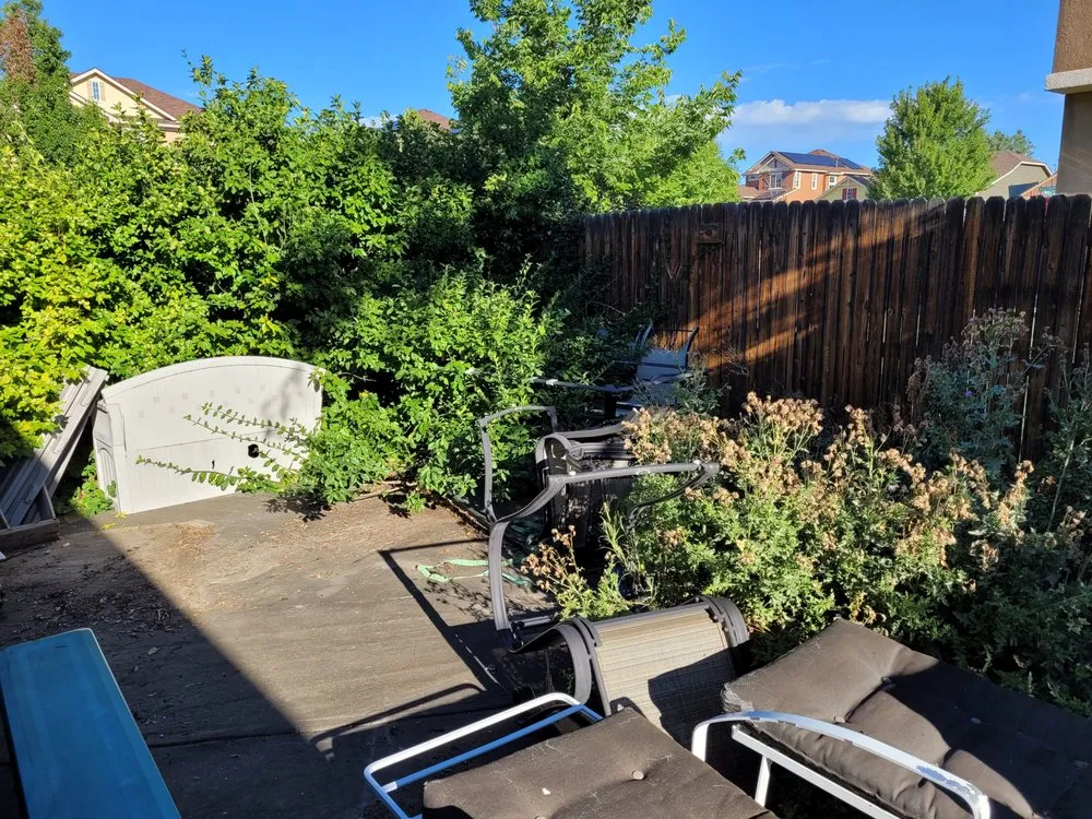 Reliable outdoor landscaping for year-round maintenance across Colorado Springs, CO - Wolfpack Landscaping