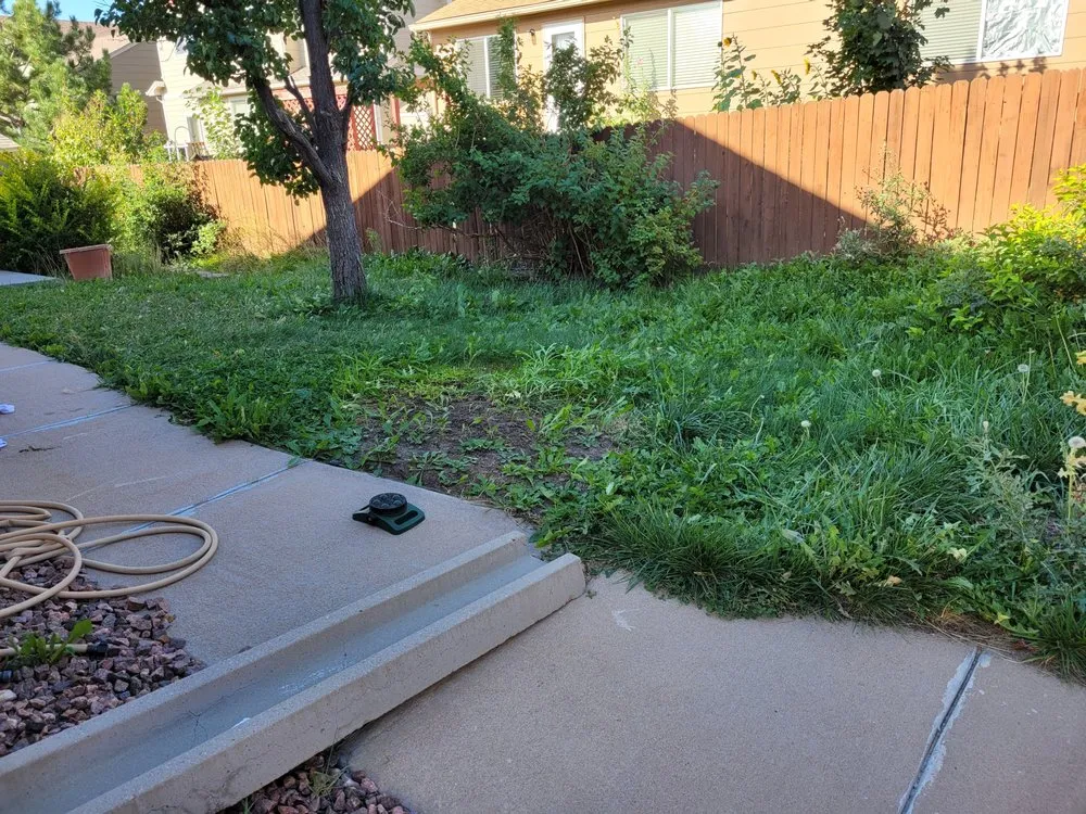 Reliable landscape design in Colorado Springs, CO by Wolfpack Landscaping