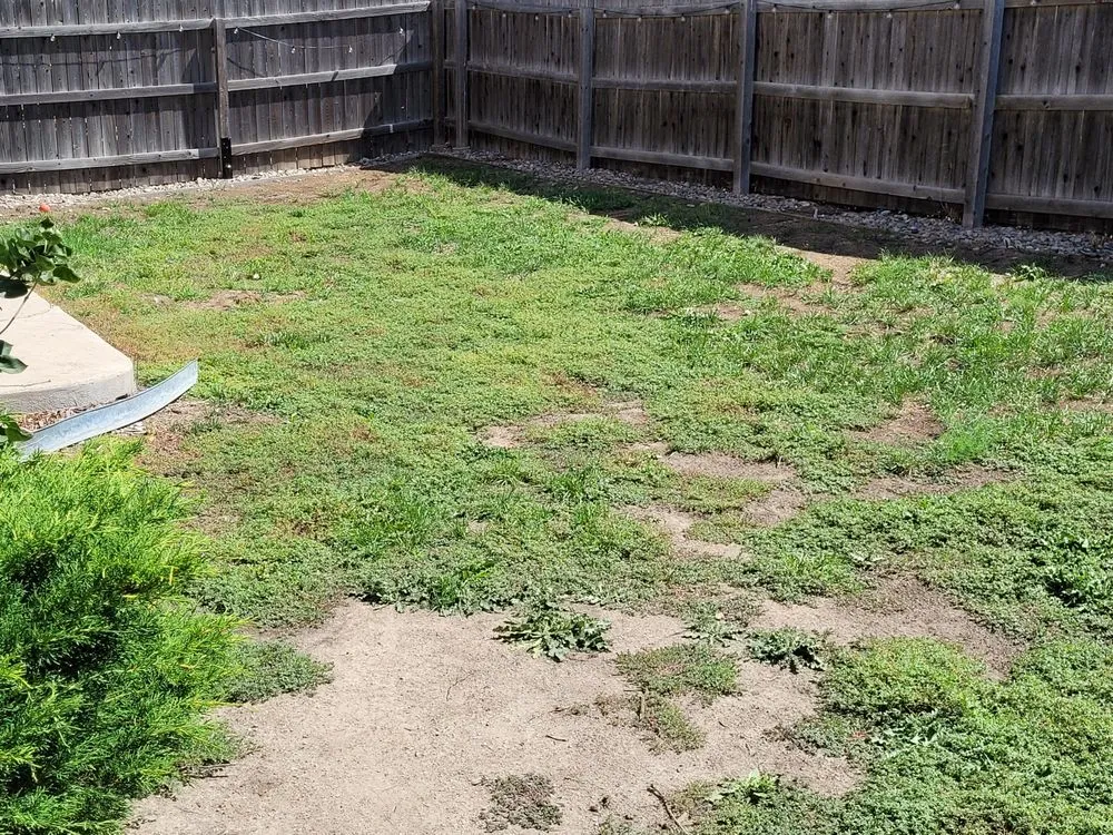 Affordable garden landscaping in Colorado Springs, CO by Wolfpack Landscaping