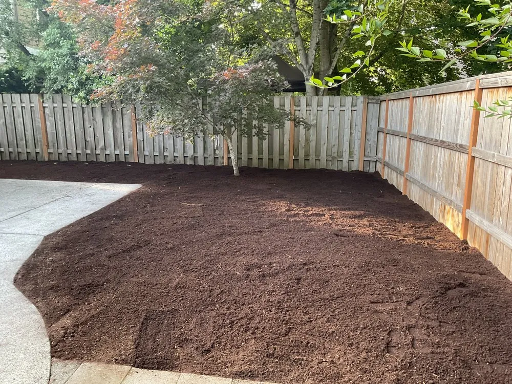 Affordable yard cleanup service for outdoor upgrades across Vancouver, WA - Wolfpack Landscaping