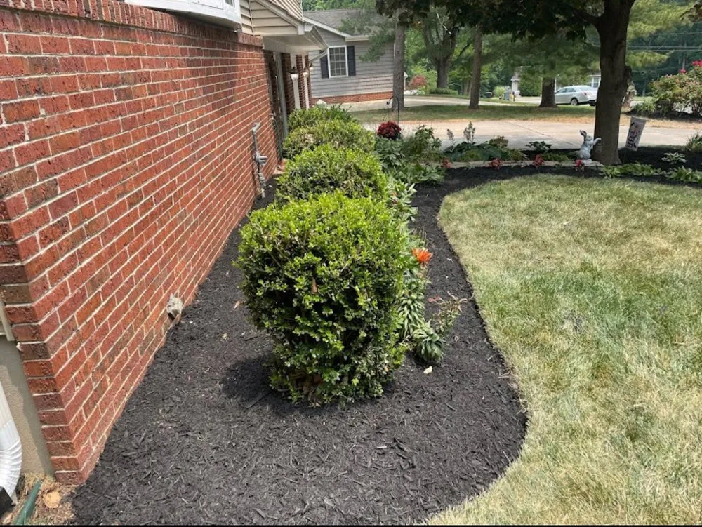 Top-rated yard maintenance experts serving Catonsville, MD - Wolfpack Lawn and Landscaping