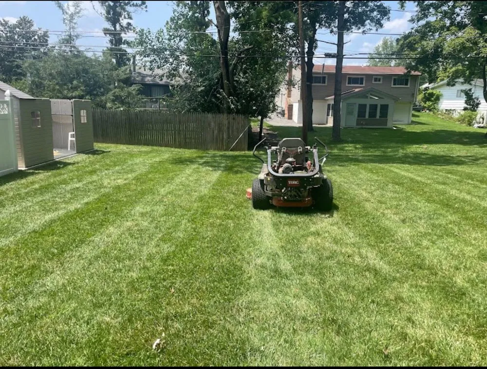 Professional landscape installation in Catonsville, MD - Wolfpack Lawn and Landscaping